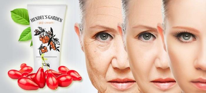Goji Cream, način primjene, prospekt, Hrvatska